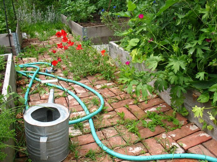 best garden hose