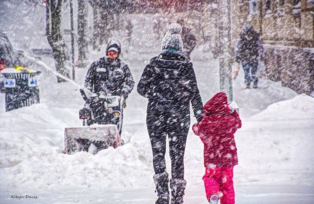 11 Best Two Stage Snow Blowers